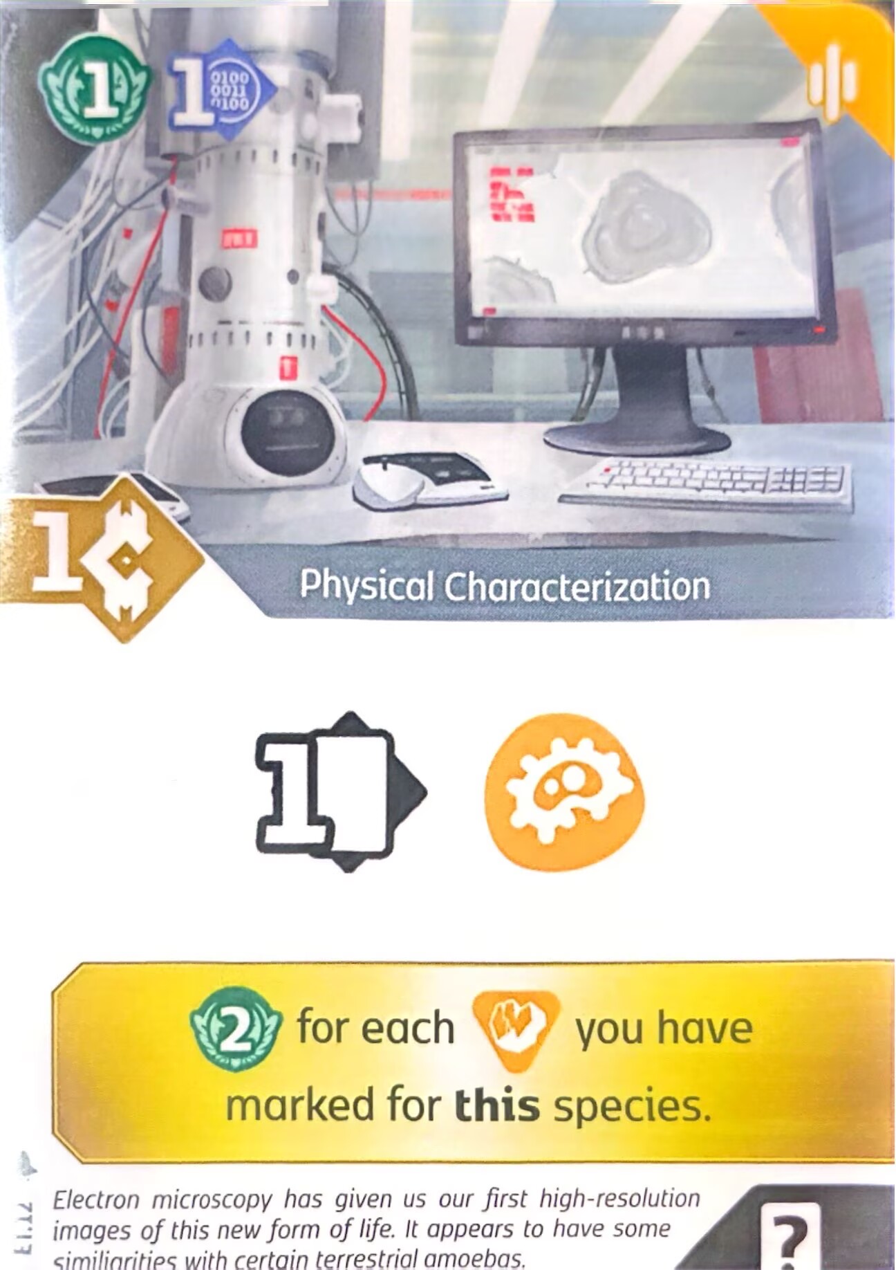 Physical Characterization